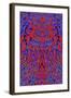 A Red and Blue Kaleidoscopic Tapestry-Ray2012-Framed Art Print