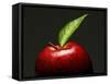 A Red Apple with Leaf-Gustavo Andrade-Framed Stretched Canvas