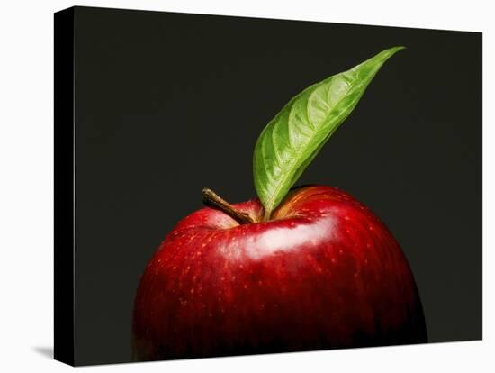 A Red Apple with Leaf-Gustavo Andrade-Stretched Canvas