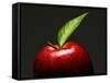 A Red Apple with Leaf-Gustavo Andrade-Framed Stretched Canvas
