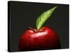 A Red Apple with Leaf-Gustavo Andrade-Stretched Canvas