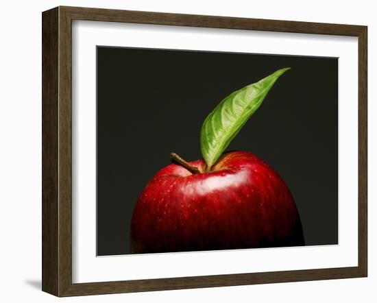 A Red Apple with Leaf-Gustavo Andrade-Framed Photographic Print