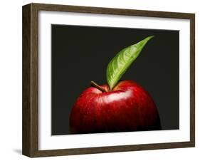 A Red Apple with Leaf-Gustavo Andrade-Framed Photographic Print