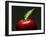 A Red Apple with Leaf-Gustavo Andrade-Framed Photographic Print