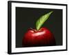 A Red Apple with Leaf-Gustavo Andrade-Framed Photographic Print