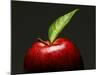 A Red Apple with Leaf-Gustavo Andrade-Mounted Photographic Print