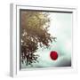 A Red Balloon Hanging on a Tree-Joana Kruse-Framed Photographic Print