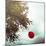 A Red Balloon Hanging on a Tree-Joana Kruse-Mounted Photographic Print