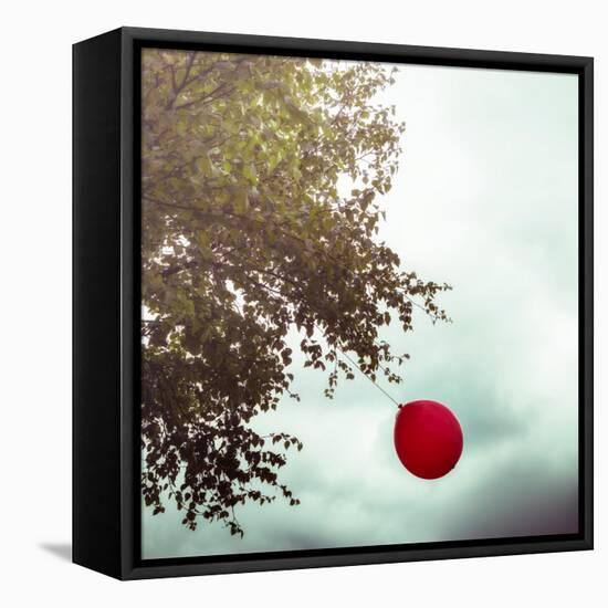 A Red Balloon Hanging on a Tree-Joana Kruse-Framed Stretched Canvas