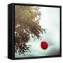A Red Balloon Hanging on a Tree-Joana Kruse-Framed Stretched Canvas