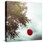 A Red Balloon Hanging on a Tree-Joana Kruse-Stretched Canvas