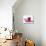 A Red Cherry-Ulrike Holsten-Stretched Canvas displayed on a wall