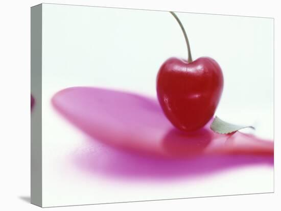 A Red Cherry-Ulrike Holsten-Stretched Canvas