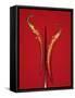 A Red Chili Pepper Sliced in Half-Jan-peter Westermann-Framed Stretched Canvas