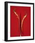 A Red Chili Pepper Sliced in Half-Jan-peter Westermann-Framed Photographic Print