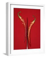 A Red Chili Pepper Sliced in Half-Jan-peter Westermann-Framed Photographic Print