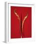 A Red Chili Pepper Sliced in Half-Jan-peter Westermann-Framed Photographic Print