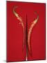 A Red Chili Pepper Sliced in Half-Jan-peter Westermann-Mounted Photographic Print