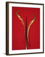 A Red Chili Pepper Sliced in Half-Jan-peter Westermann-Framed Photographic Print