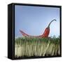 A Red Chilli Lying on a Bed of Cress-null-Framed Stretched Canvas