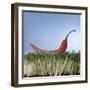 A Red Chilli Lying on a Bed of Cress-null-Framed Photographic Print