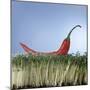 A Red Chilli Lying on a Bed of Cress-null-Mounted Photographic Print