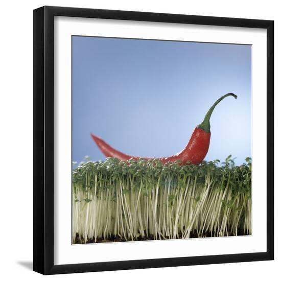 Premium Photographic Print, , large