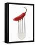 A Red Chilli on a Fork-Greg Elms-Framed Stretched Canvas