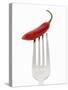 A Red Chilli on a Fork-Greg Elms-Stretched Canvas