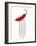 A Red Chilli on a Fork-Greg Elms-Framed Photographic Print