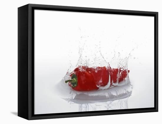 A Red Chilli Pepper Falling into Water-Kröger & Gross-Framed Stretched Canvas
