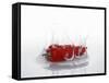 A Red Chilli Pepper Falling into Water-Kröger & Gross-Framed Stretched Canvas