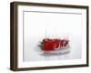 A Red Chilli Pepper Falling into Water-Kröger & Gross-Framed Photographic Print