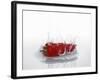 A Red Chilli Pepper Falling into Water-Kröger & Gross-Framed Photographic Print