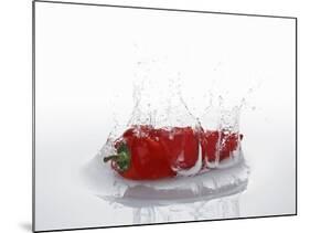 A Red Chilli Pepper Falling into Water-Kröger & Gross-Mounted Photographic Print