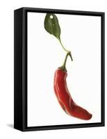 A Red Chilli Pepper with a Leaf-Robbert Koene-Framed Stretched Canvas