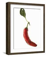 A Red Chilli Pepper with a Leaf-Robbert Koene-Framed Photographic Print