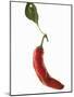 A Red Chilli Pepper with a Leaf-Robbert Koene-Mounted Photographic Print