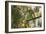 A Red-Cowled Cardinal Perching on a Tree in Sao Paulo's Ibirapuera Park-Alex Saberi-Framed Photographic Print