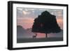 A Red Deer Buck, Cervus Elaphus, and a Tree Against a Dramatic Sky-Alex Saberi-Framed Photographic Print