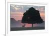 A Red Deer Buck, Cervus Elaphus, and a Tree Against a Dramatic Sky-Alex Saberi-Framed Photographic Print