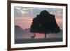 A Red Deer Buck, Cervus Elaphus, and a Tree Against a Dramatic Sky-Alex Saberi-Framed Photographic Print