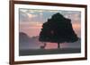 A Red Deer Buck, Cervus Elaphus, and a Tree Against a Dramatic Sky-Alex Saberi-Framed Photographic Print