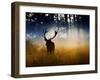 A Red Deer Buck, Cervus Elaphus, Comes Out from the Forest-Alex Saberi-Framed Premium Photographic Print