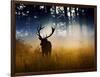 A Red Deer Buck, Cervus Elaphus, Comes Out from the Forest-Alex Saberi-Framed Photographic Print