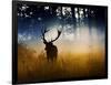 A Red Deer Buck, Cervus Elaphus, Comes Out from the Forest-Alex Saberi-Framed Photographic Print