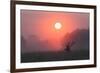 A Red Deer Buck, Cervus Elaphus, Silhouetted Against a Dramatic Sky-Alex Saberi-Framed Photographic Print