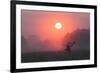 A Red Deer Buck, Cervus Elaphus, Silhouetted Against a Dramatic Sky-Alex Saberi-Framed Photographic Print