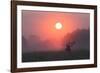 A Red Deer Buck, Cervus Elaphus, Silhouetted Against a Dramatic Sky-Alex Saberi-Framed Photographic Print