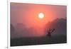 A Red Deer Buck, Cervus Elaphus, Silhouetted Against a Dramatic Sky-Alex Saberi-Framed Photographic Print